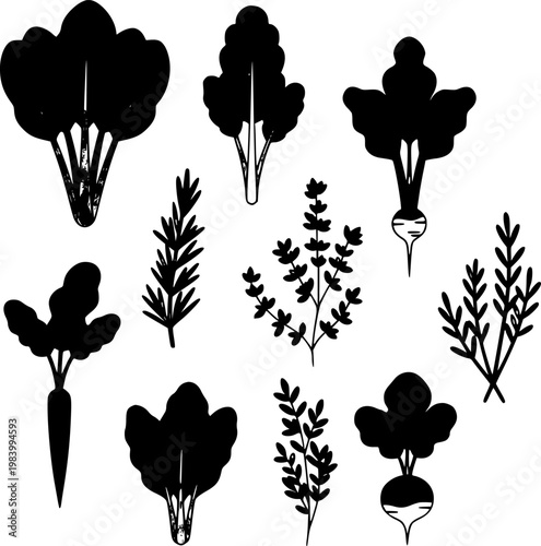 Collection of black vector silhouettes featuring various organic garden vegetables and aromatic herbs, isolated design elements for healthy food, farm, agriculture, and cooking illustrations.