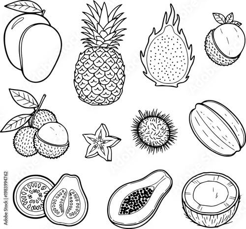 Hand drawn tropical fruits vector illustration set featuring mango pineapple dragon fruit papaya and other exotic healthy food graphic design elements
