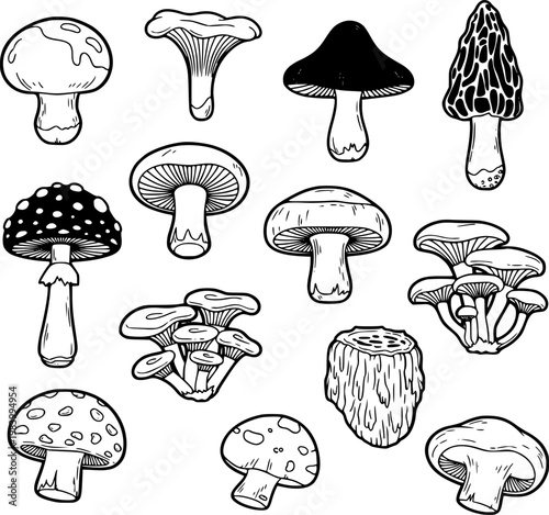 Various mushroom vector illustration collection featuring diverse species of fungi in a clean black and white outline graphic design for nature or culinary themes.