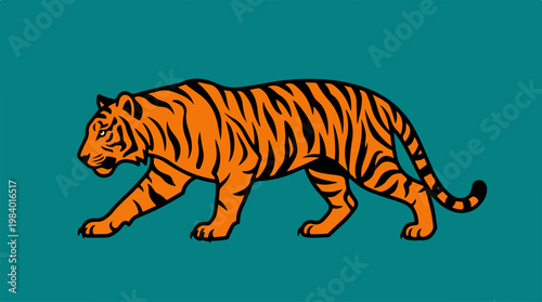 Striking tiger prowling across a teal background, majestic and powerful.