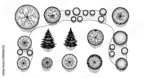 detailed plan view illustration of diverse landscape design elements including trees shrubs and garden beds for architectural layouts.