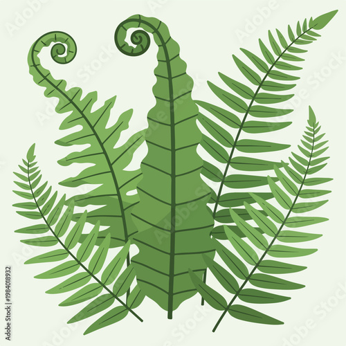 Foto Green Fern Leaves Close Up Detail.