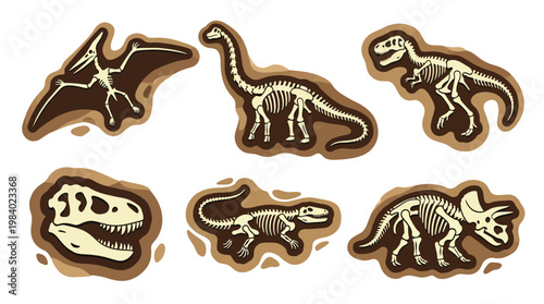 Dinosaur Skeleton Fossil Vector Illustration Set with TRex Triceratops Pterodactyl and Brachiosaurus Bones for Education