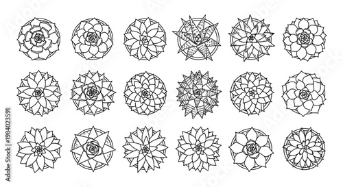 top view line art illustrations of various succulent plants in pots