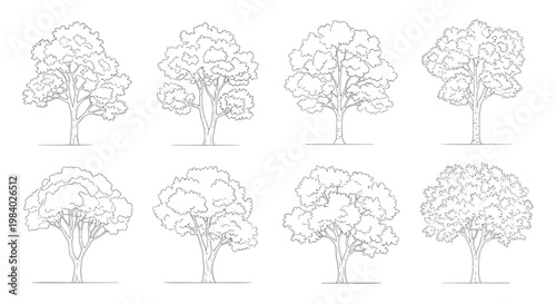 Set of eight different tree outlines or sketches showing various shapes and foliage styles in a single row.