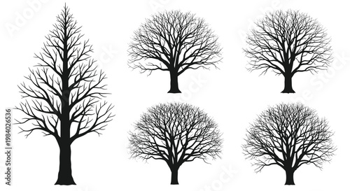 Five black silhouettes of bare winter trees with detailed branches and trunks against a plain white background.