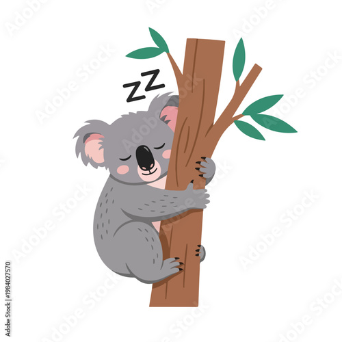 Sleeping Koala Hanging on Tree Trunk.