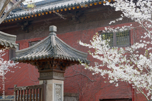 Ancient Chinese temple roof and carved gatepost framed by white cherry blossoms against a textured red wall, evoking springtime serenity, tradition, and architectural detail in a tranquil garden