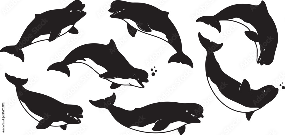 Obraz premium Black Solid Beluga Whale Play Silhouettes Set of Six on White Background