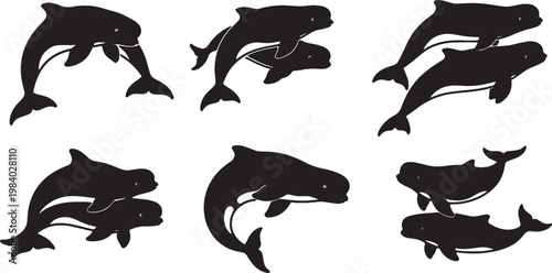 Black Solid Beluga Whale Group Silhouettes Set of Six on White Background