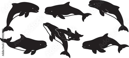 Black Solid Beluga Whale Group Silhouettes Set of Six on White Background