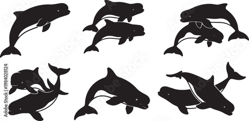 Black Solid Beluga Whale Group Silhouettes Set of Six on White Background