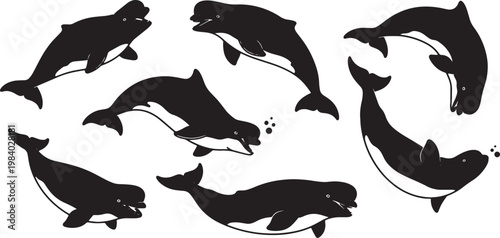 Black Solid Beluga Whale Play Silhouettes Set of Six on White Background