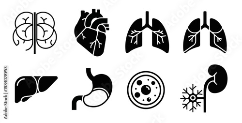 Black silhouette medical icons of human organs including heart lungs stomach and microscopic cell for biology and science research