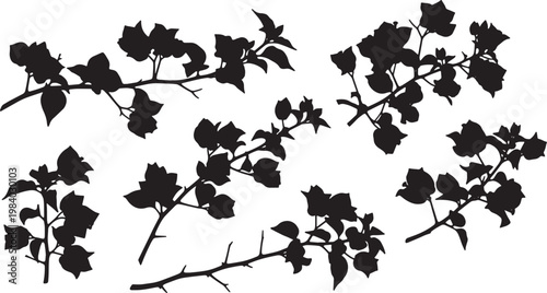 Foto Black Solid Bougainvillea Flower Branch Silhouettes Set of Six
