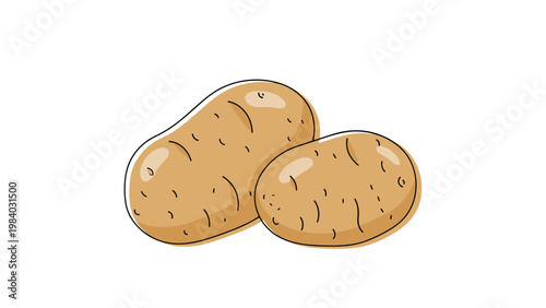 Simple illustration of two fresh brown potatoes with realistic skin details isolated on a clean white background.