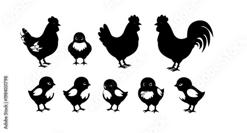 Set of yellow chicks, hens and roosters. Vector illustration in flat style is isolated on white background