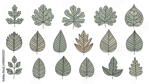 Diverse assortment of illustrated green tree leaf shapes in three rows showing different textures and vein patterns on a white background.