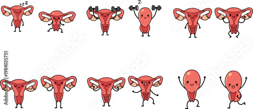 Uterus Cartoon Character Collection with Female Reproductive System Organs Different Expressions and Activities Medical Vector Illustration Set