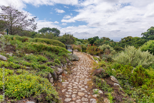 Landscape in Cape Town botanical garden