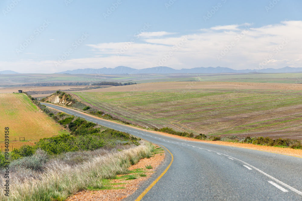 Obraz premium Asphalt road in South Africa surrounded by fields