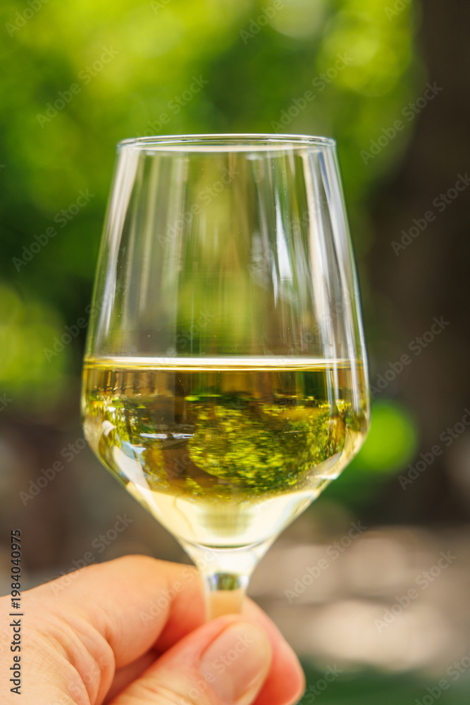 Naklejka premium Glass of white wine in hand in sunlight