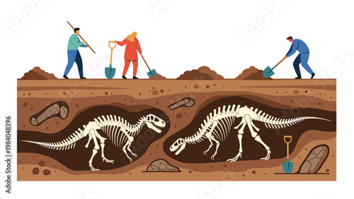Paleontologists working at a dig site to uncover dinosaur fossil skeletons from different layers of the underground soil.