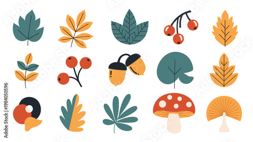 Diverse collection of colorful autumn elements including various leaf shapes, acorns, berries, and a red mushroom in a flat design style.