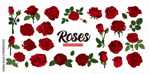 A collection of beautifully illustrated red roses with green leaves