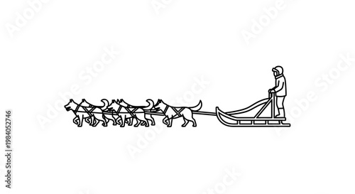 Man pulling sled with multiple dogs.