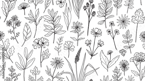 Intricate black and white floral pattern a seamless botanical illustration for textiles and backgrounds