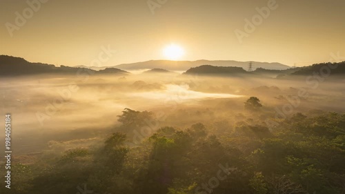 A beautiful morning landscape with the golden light of the sunrise. 4K resolution, aerial view of rice fields, peaceful atmosphere.