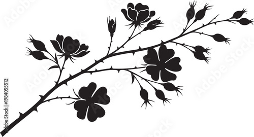Black silhouette of a thorny rose branch with flowers thorns