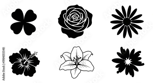 Black and White Floral Silhouettes