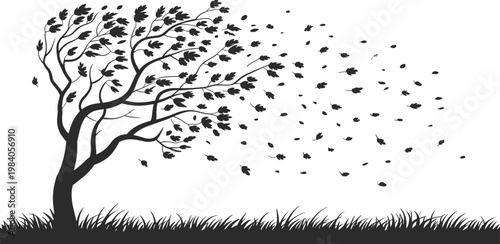 Billede på lærred Wind blowing tree silhouette, falling leaves nature scene for seasonal landscape
