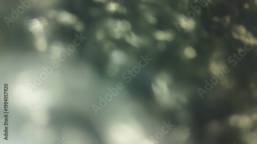 Abstract Soft Focus Silver Glittering Festive Bokeh Background Motion Footage
