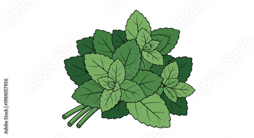 A bunch of green leaves with stems