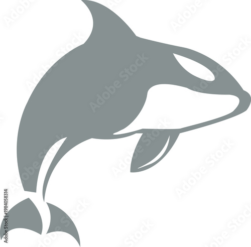 A majestic killer whale gracefully leaping out of the water, depicted in a simple, striking grey silhouette illustration