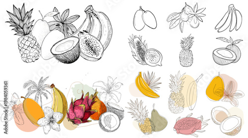 Tropical fruit sketch collection with pineapple coconut dragon fruit papaya and banana in hand drawn style for juice packaging menu design and food branding