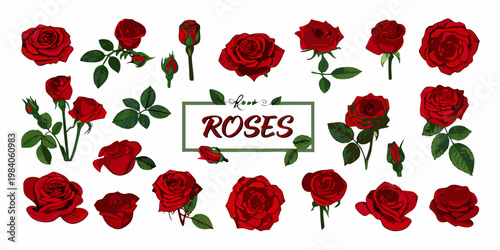 A vibrant collection of detailed red roses with green leaves