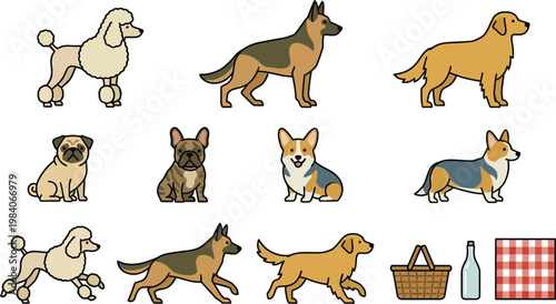 Various dog breeds are depicted in a stylized, cartoonish manner alongside picnic accessories like a basket and bottle.
