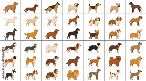 An extensive grid displays a comprehensive array of dog breeds rendered in a consistent, flat illustration style against a neutral background.