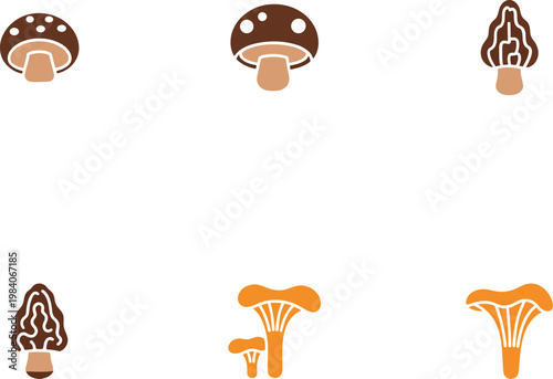 Variety of mushrooms a colorful collection of fungi illustrations on a white background