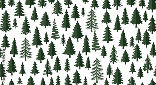 Dense forest pattern a seamless repeat of varied evergreen trees on a white background