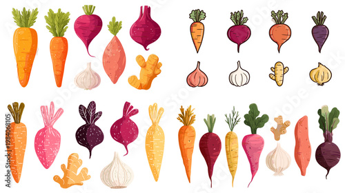 Colorful root vegetable set with carrot beet onion garlic radish and ginger in flat style isolated on white for healthy food cooking and grocery design