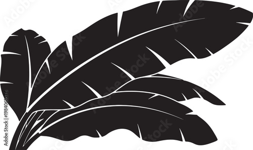 Crossed laurel branches isolated on transparent background.