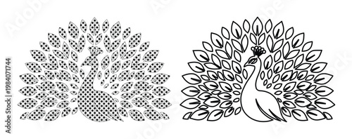 Elegant peacock vector icons with fanned feathers, black and white bird illustrations, decorative peacock line art set for logo and tattoo design