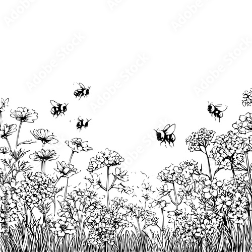 Hand drawn meadow with buzzing bees sketch illustration featuring detailed wildflowers and grasses in a whimsical black and white line art style for botanical designs