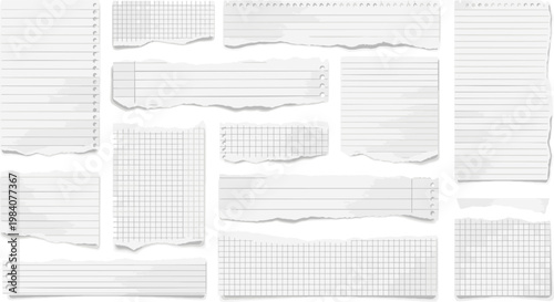 Shredded binder paper strips and torn plotting grid page vector set