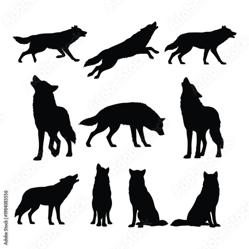 Set of wolf silhouettes in various poses and movements  running sitting standing howling